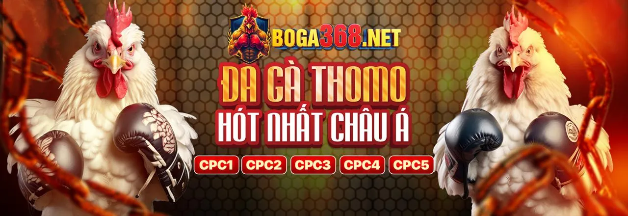 Đá Gà Trực Tuyến Wip Win