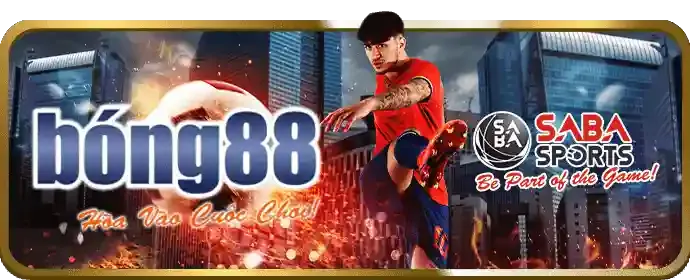 Cá Cược Bóng Đá wip win